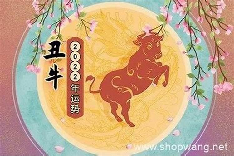 马年孩子今年运势不好