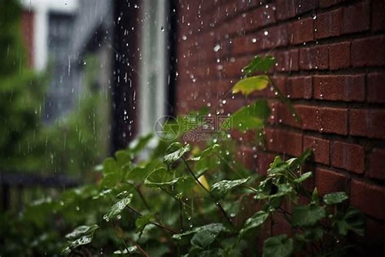 雨水从大门口流走好吗