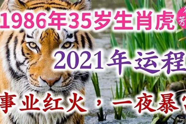 36岁虎2021运势