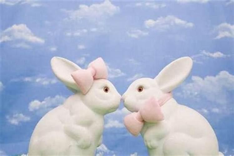 兔跟兔结婚相配吗