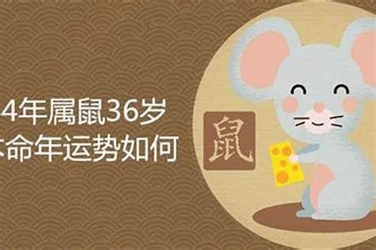 属兔的跟属猪的合不合适婚配