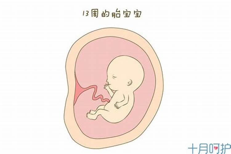 36岁本命年很可怕