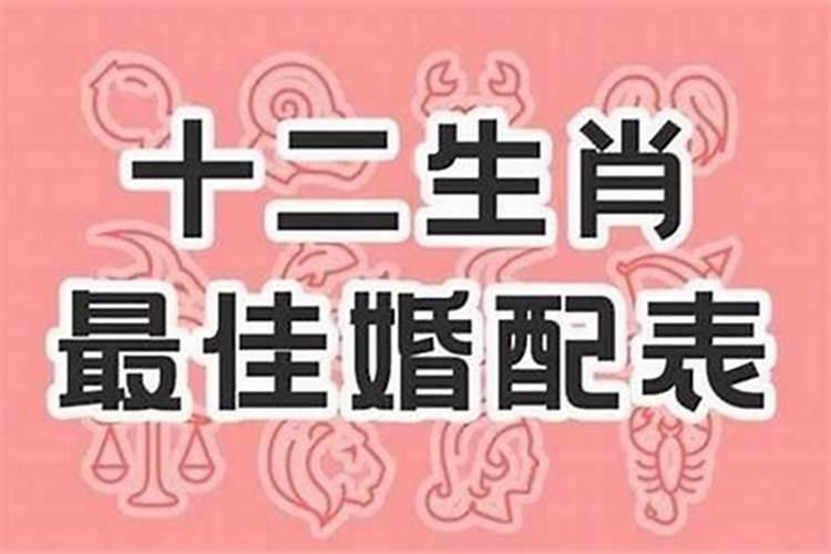 属虎和属牛的人八字合不合