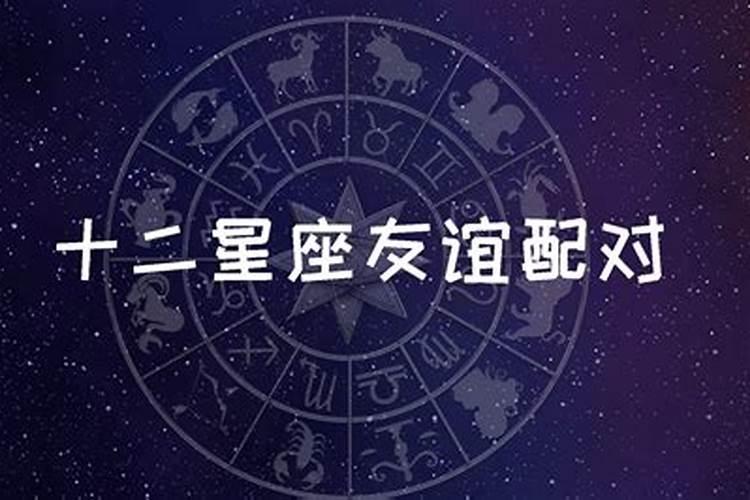 十二星座算命配对八字合婚怎么样