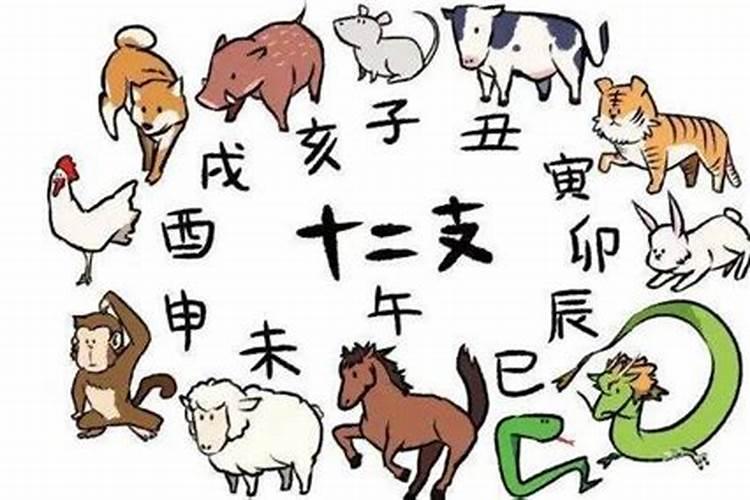 生肖猪年份