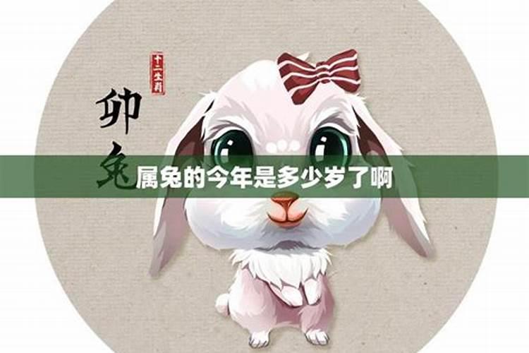 属兔今年6月运程如何