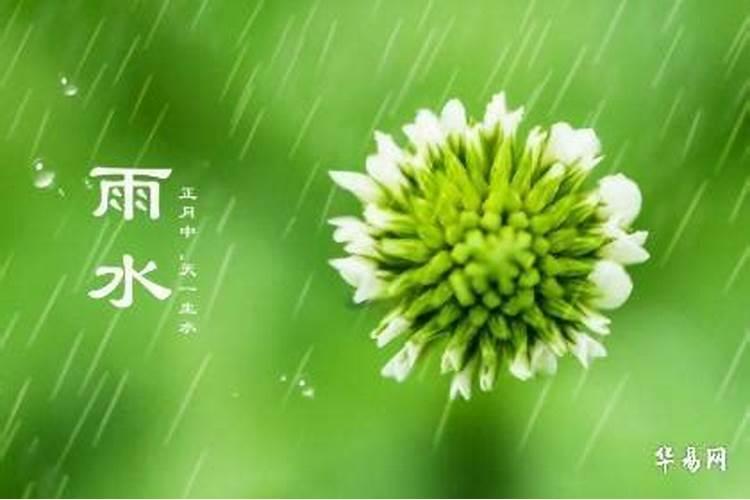 节气雨水出生人的运势