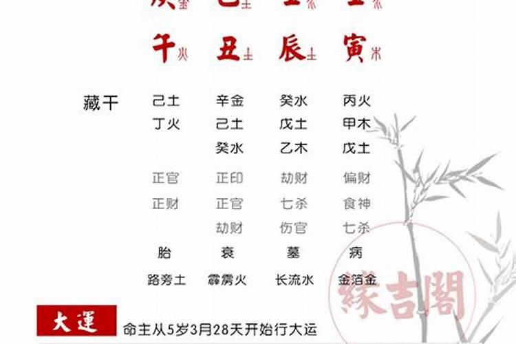 算命不看人知道八字就知道会有车祸