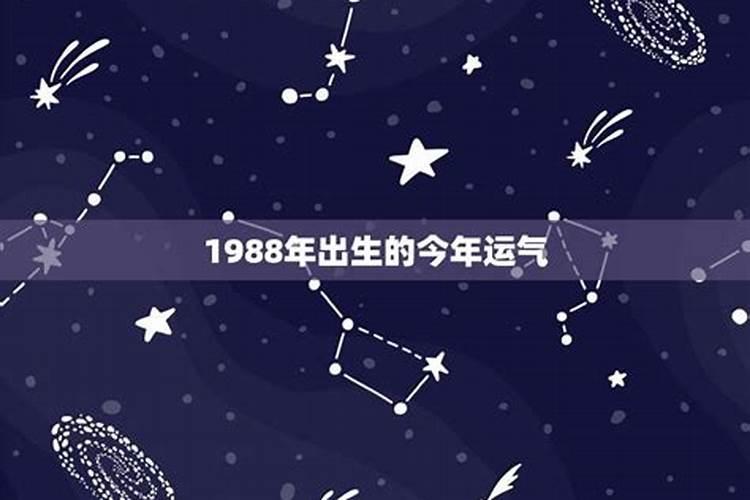 1988年出生月份运势