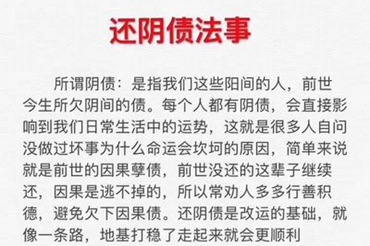 梦见狗狗对我特别友好的才运如何