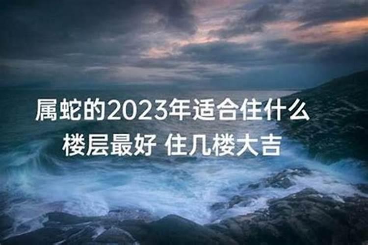 属蛇的人买楼房几楼最好?