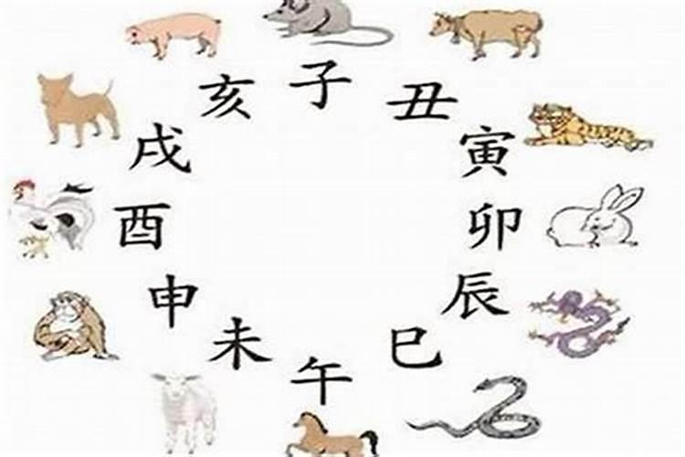 猪和蛇八字不合