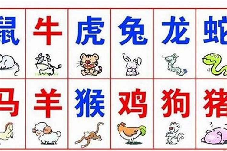 带龙字的楼盘和属相