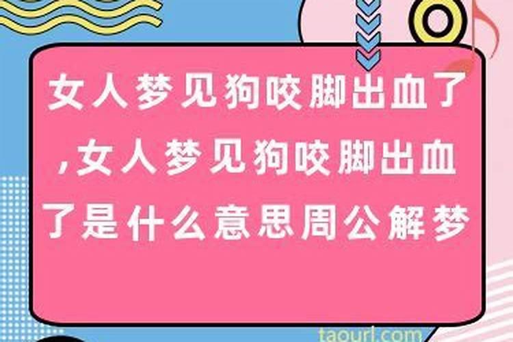 梦到死去的狗什么意思啊周公解梦