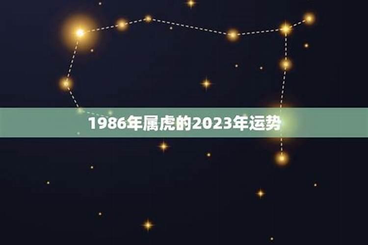 1986年虎一生事业运势