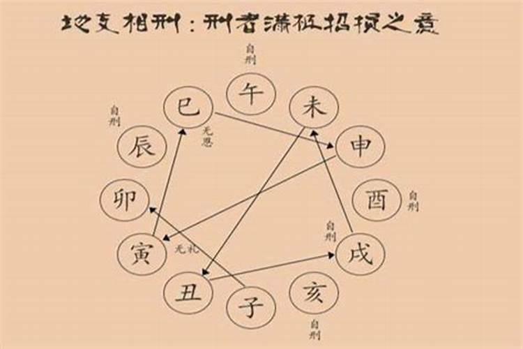 梦见年轻时候的老公回来了