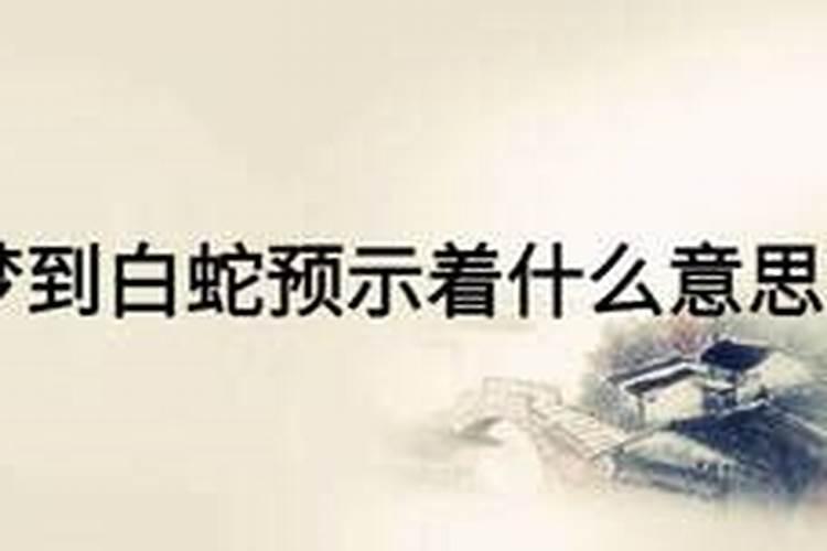 梦到白蛇预示着什么