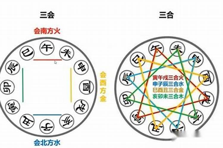 2024犯太岁生肖属相有鸡吗