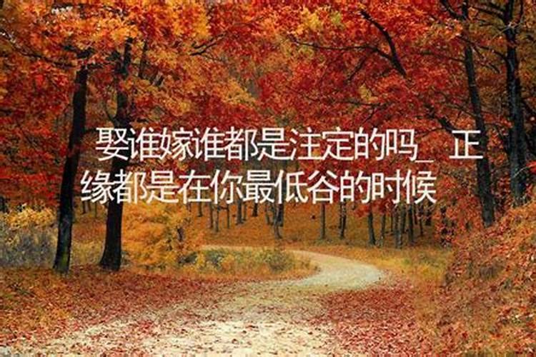 命中注定的正缘不会散