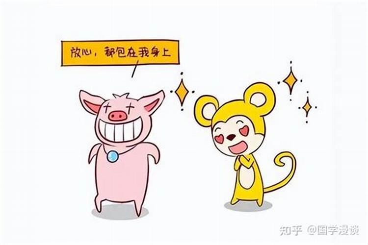 生肖猪优缺点