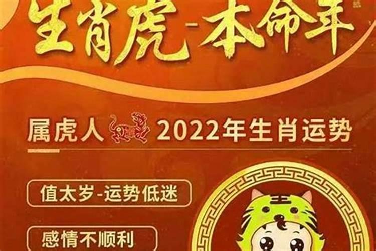 麦玲2021年生肖运程