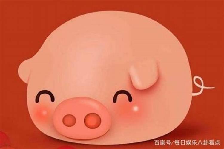 猪人出生月份的运势
