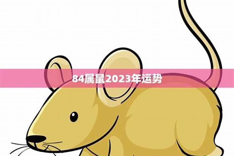 84年属鼠2023年财运