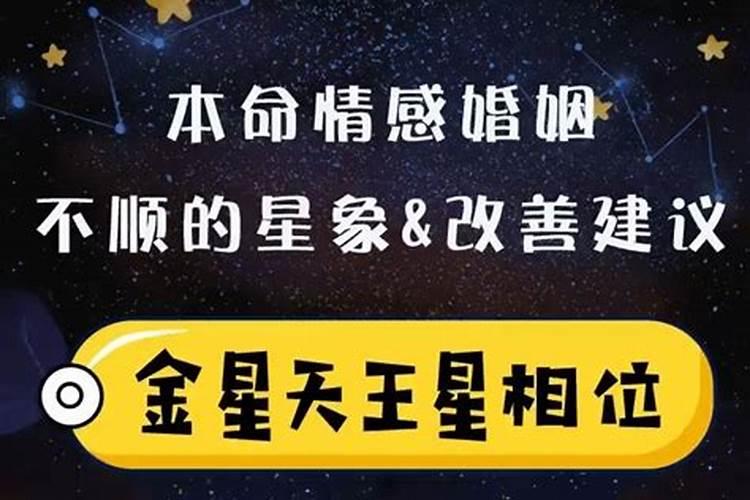 算婚姻主配偶什么意思