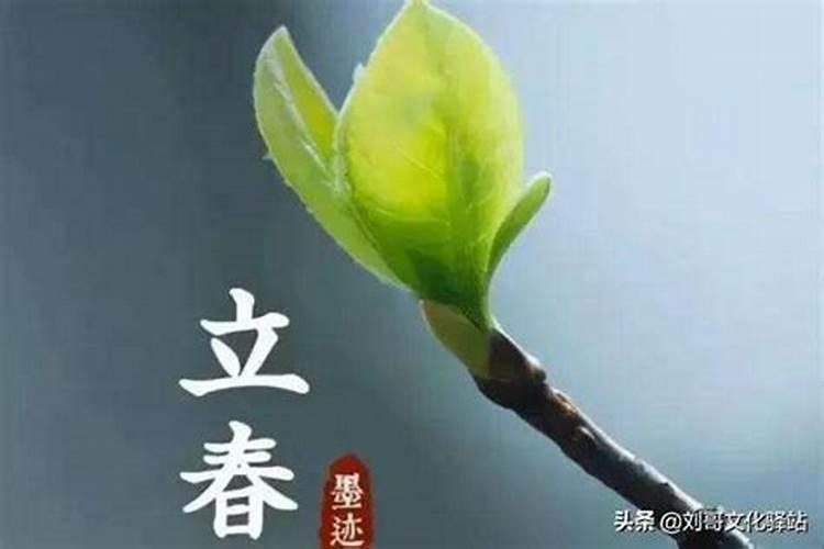 24节气立春的含义是什么意思