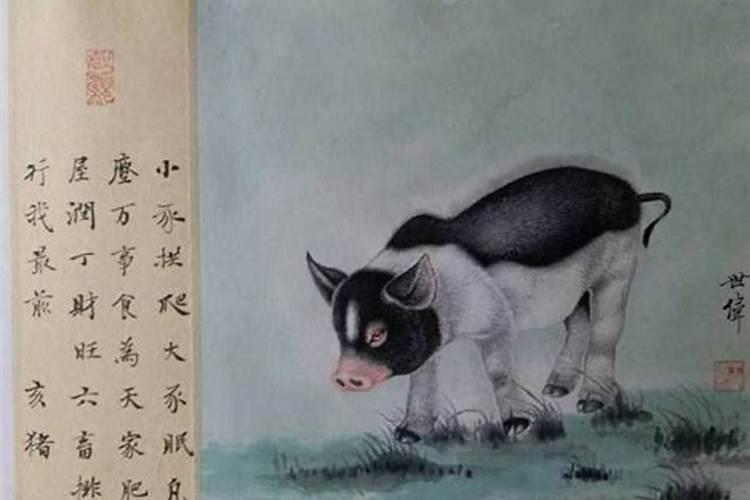 生辰八字双猪双狗好吗