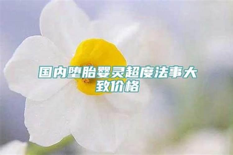 70年属狗2021年的感情运程怎么样