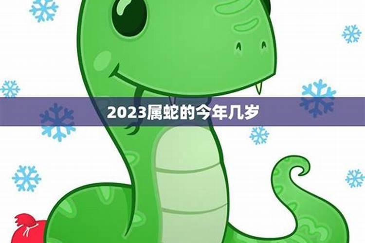 2023属蛇正月初五运势