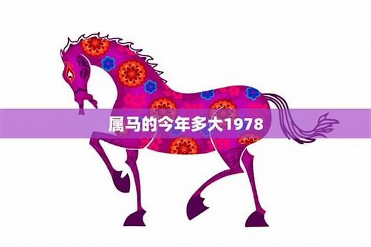 1978年属马人今年的运程