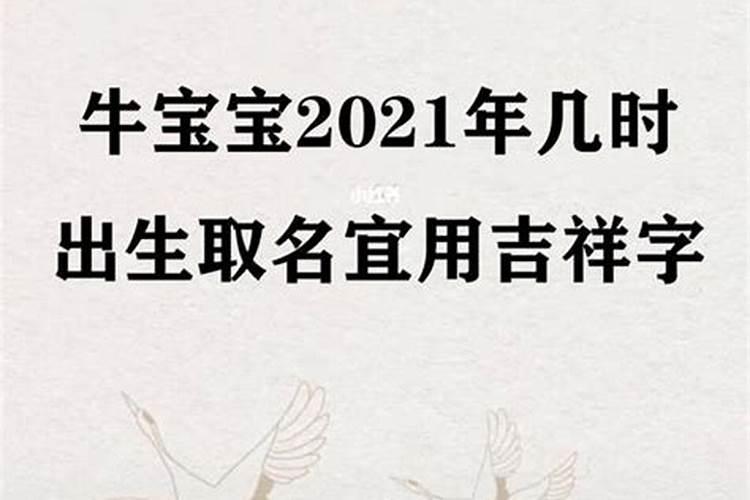 九月初九日出生鸡宝宝