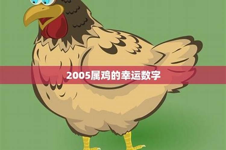 2005属鸡的幸运颜色是什么