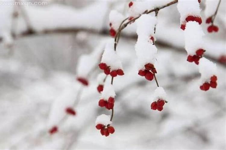 梦到下大雪是什么预兆呢