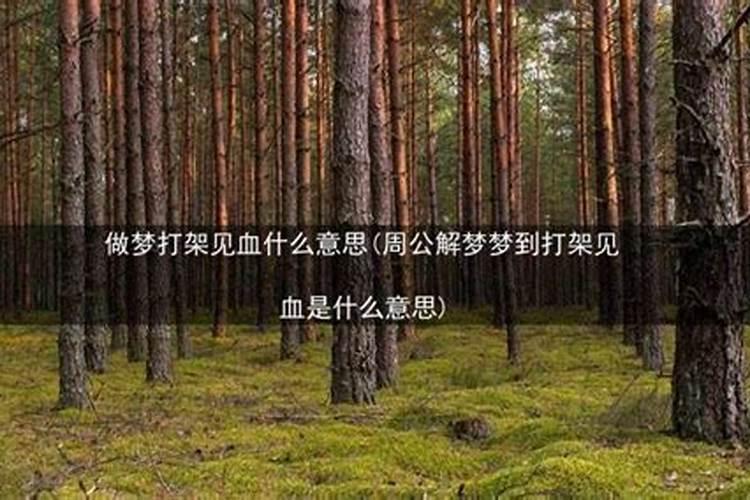 梦见打架是什么意思