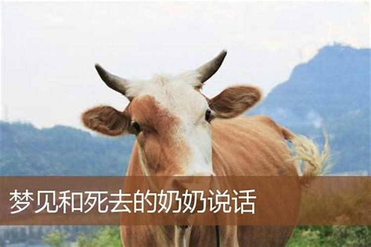 梦见和死去的奶奶吃肉