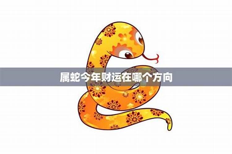 属蛇年今年的运势如何