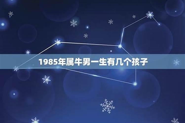 1985男牛一生运势如何