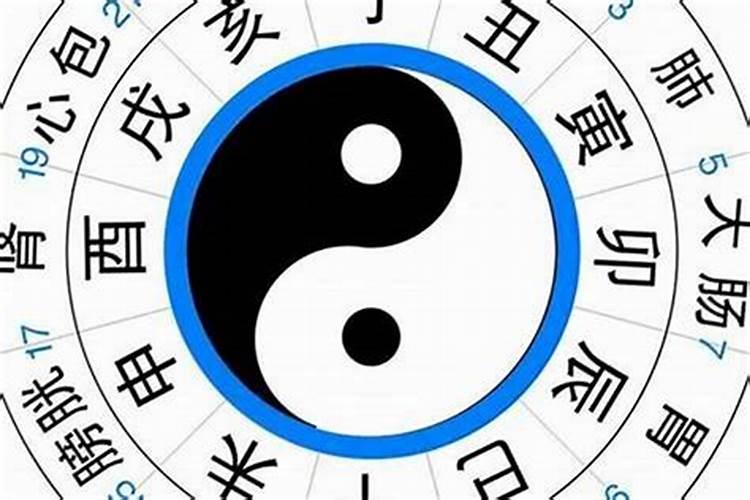 看合不合是看属相还是八字