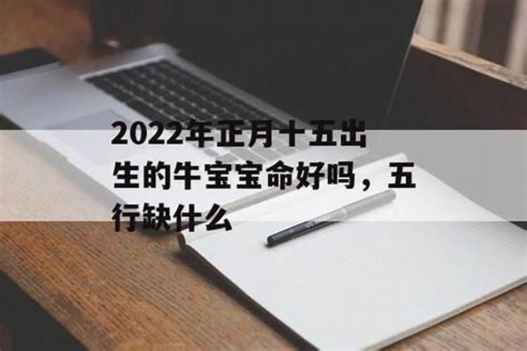 牛鼠年生人2023年的运程