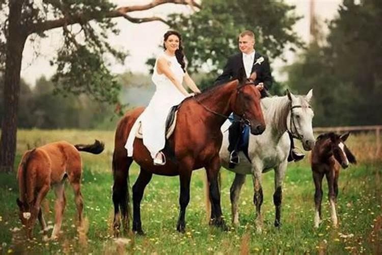马和马的婚配怎么样