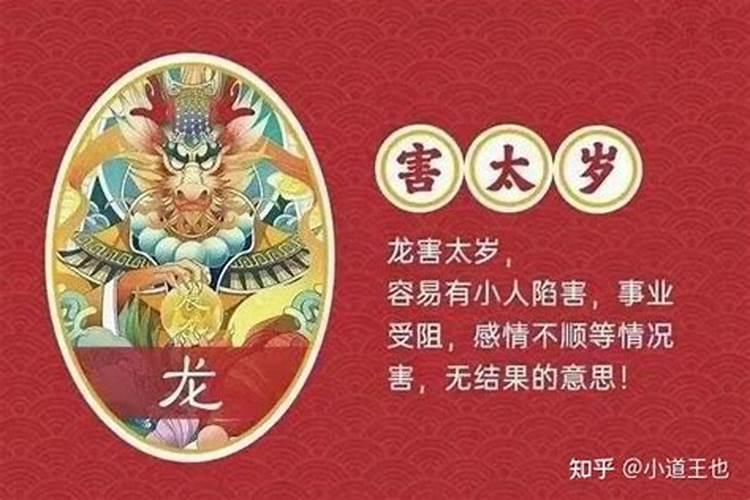 属龙犯太岁年