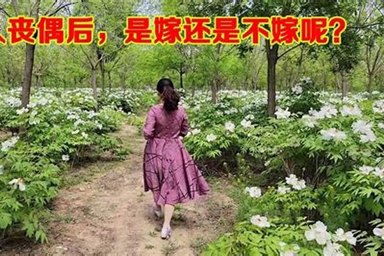 丧偶的中年女人再婚难