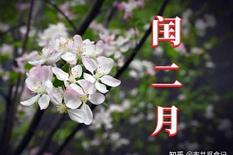 关于清明节风俗