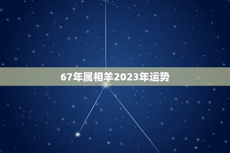 八四鼠年2023年运程如何