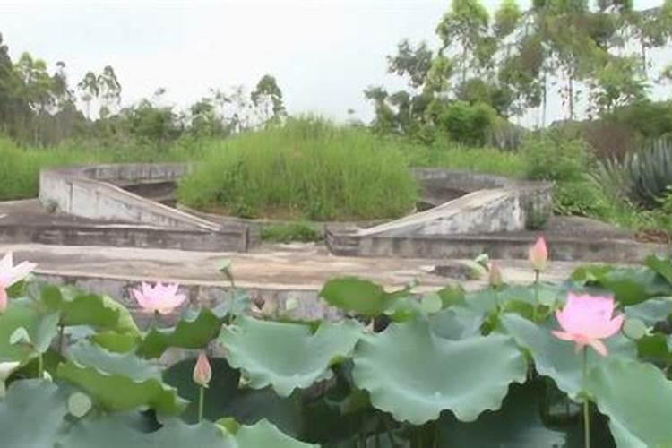 莲花风水宝地出什么人才