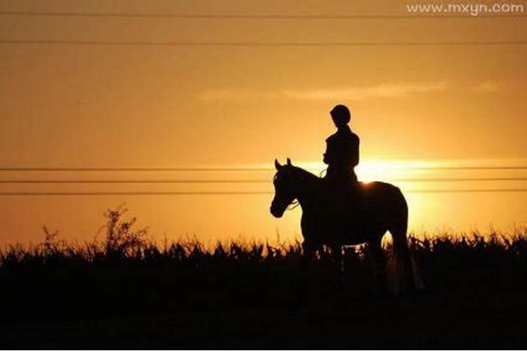 梦到和老公骑着一个马