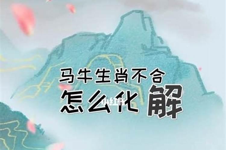 鼠马的八字不合